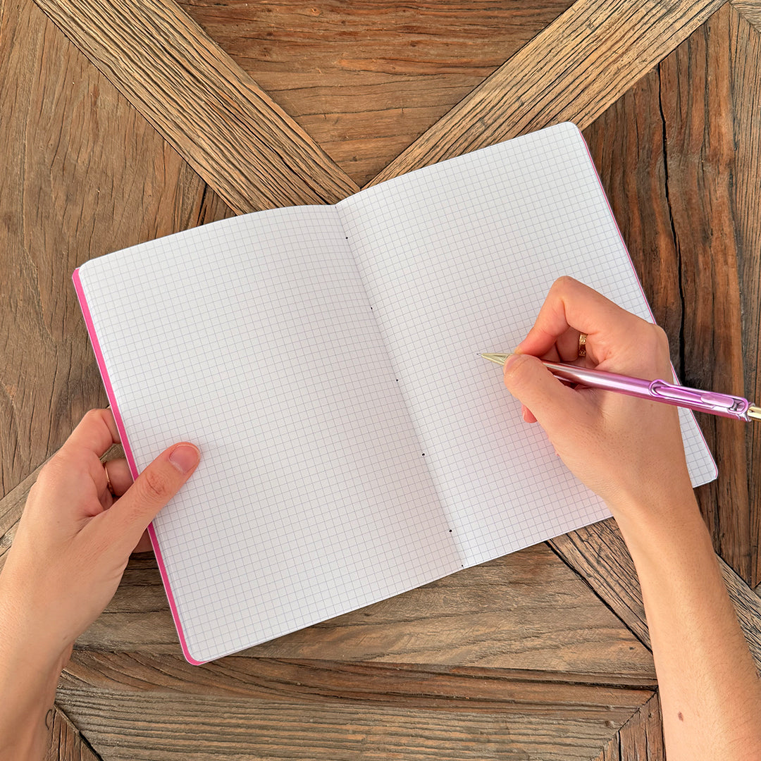 Carnet les oiseaux